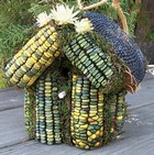 Edible Birdhouse