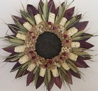 Native Sun