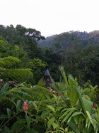paradise on the Osa Peninsula