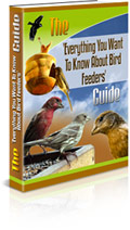 Birdfeeders Info